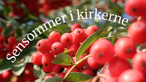 jødisk påskemåltid